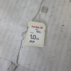SanDisk 1.0 GB Memory SD Card for Nintendo Wii